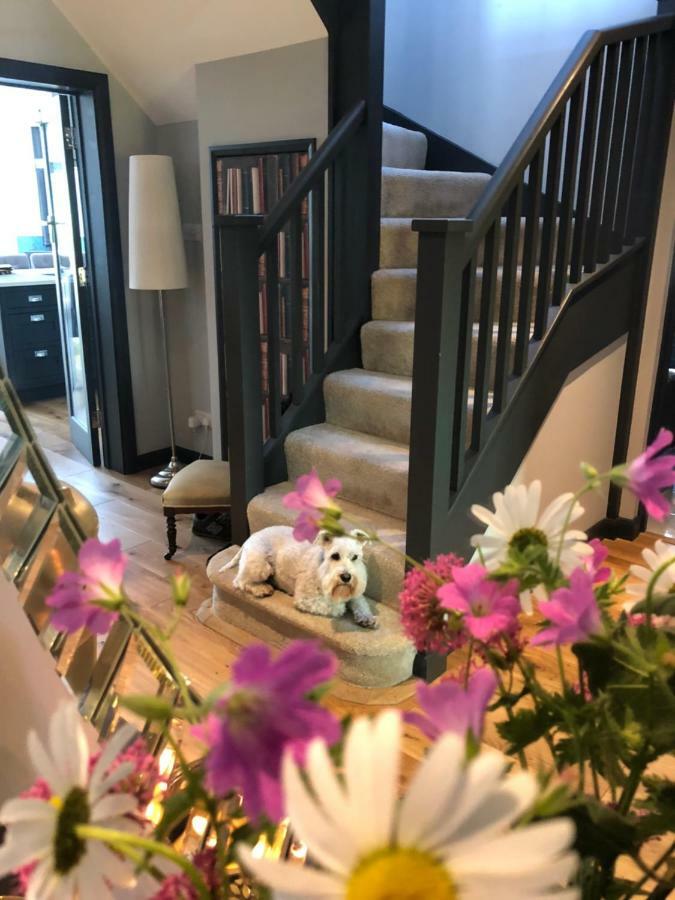 The Niche Bed & Breakfast Eastbourne Ngoại thất bức ảnh
